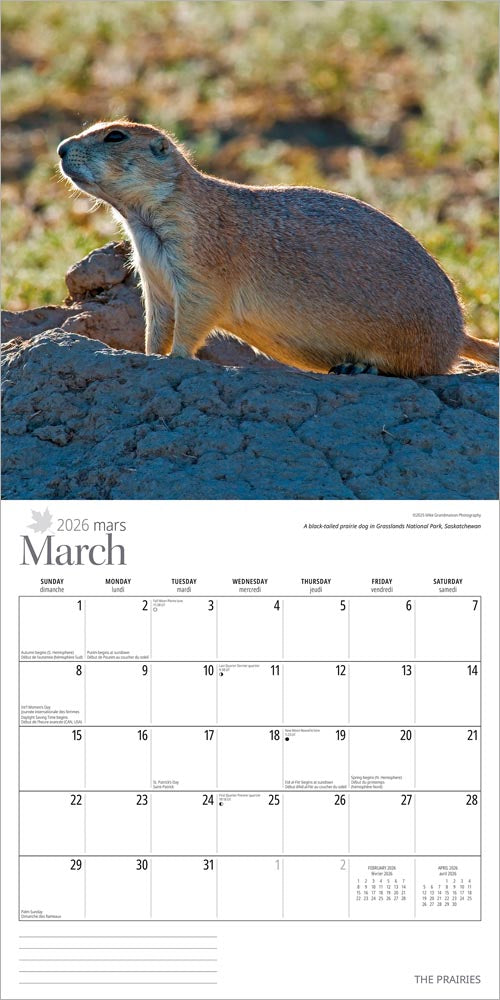 The Prairies  | 2026 12 x 24 Inch (Hanging) Monthly Square Wall Calendar