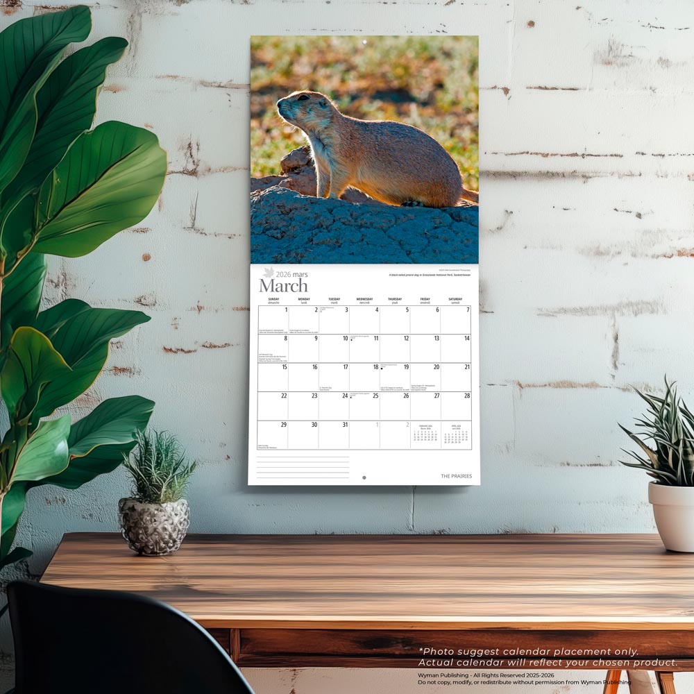 The Prairies  | 2026 12 x 24 Inch (Hanging) Monthly Square Wall Calendar