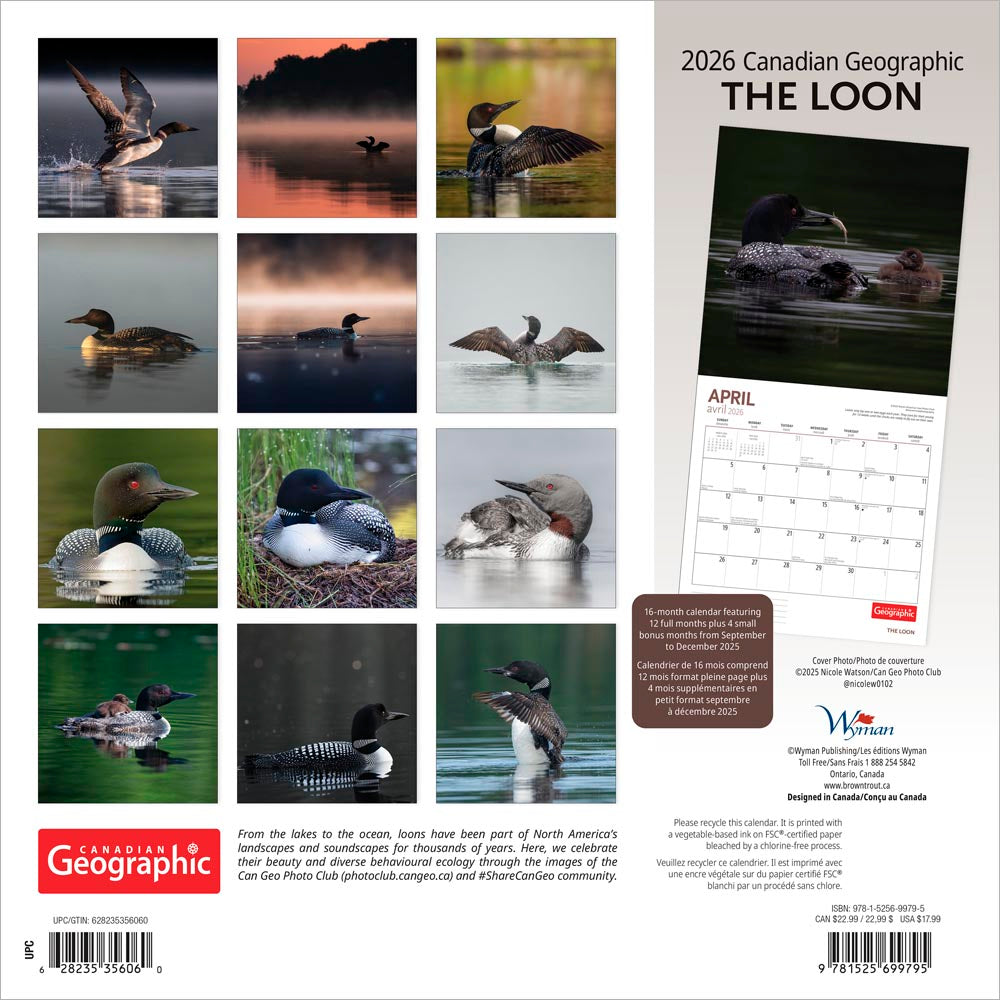Canadian Geographic The Loon OFFICIAL | 2026 12 x 24 Inch (Hanging) Monthly Square Wall Calendar | Foil Stamped Cover
