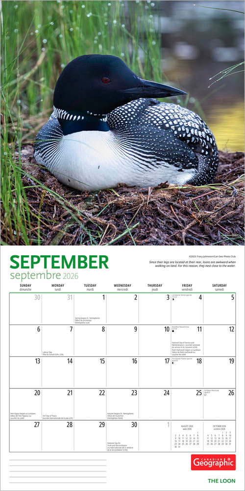 Canadian Geographic The Loon OFFICIAL | 2026 12 x 24 Inch (Hanging) Monthly Square Wall Calendar | Foil Stamped Cover