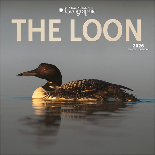 Canadian Geographic The Loon OFFICIAL | 2026 12 x 24 Inch (Hanging) Monthly Square Wall Calendar | Foil Stamped Cover