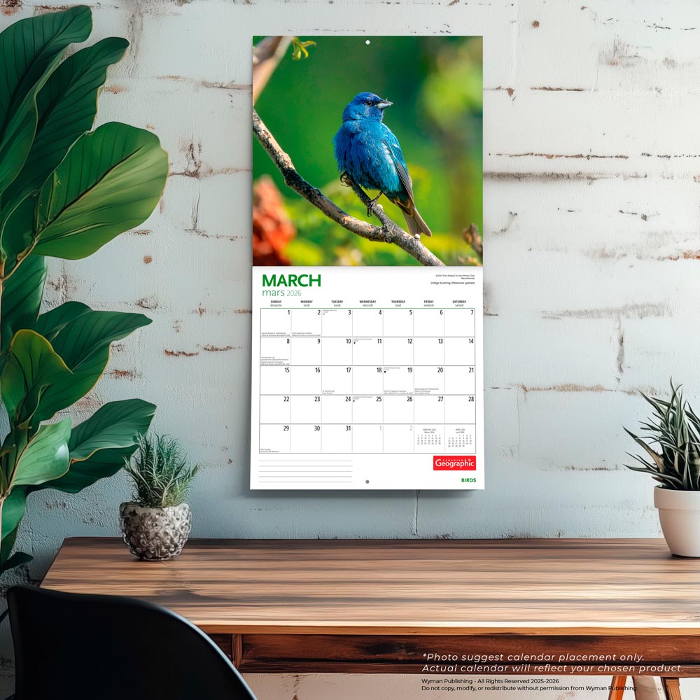 Canadian Geographic Birds OFFICIAL | 2026 12 x 24 Inch (Hanging) Monthly Square Wall Calendar | Foil Stamped Cover