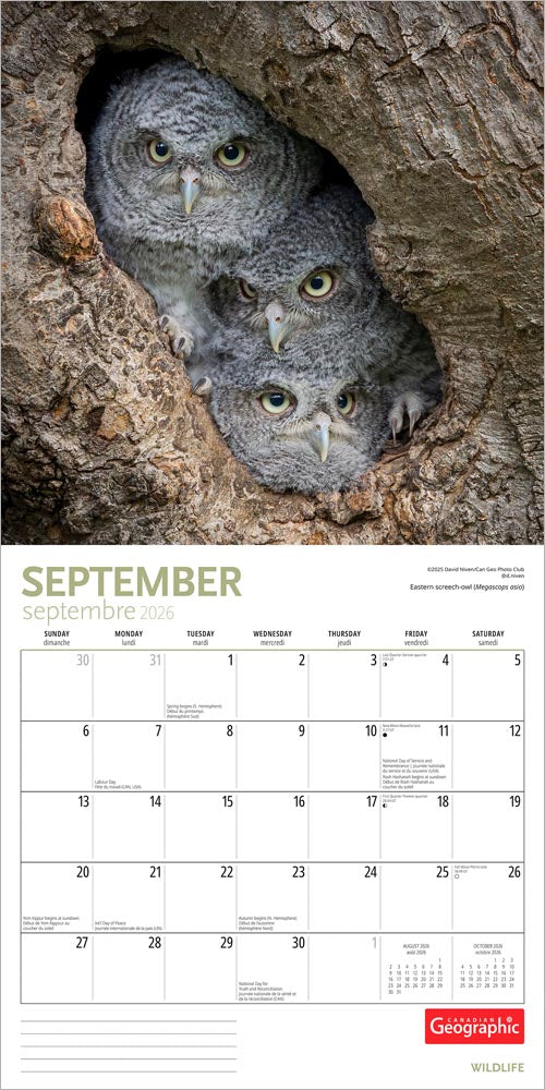 Canadian Geographic Wildlife OFFICIAL | 2026 12 x 24 Inch (Hanging) Monthly Square Wall Calendar | Foil Stamped Cover
