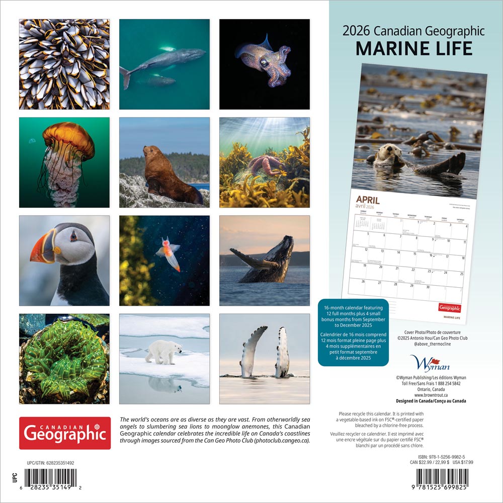 Canadian Geographic Marine Life OFFICIAL | 2026 12 x 24 Inch (Hanging) Monthly Square Wall Calendar