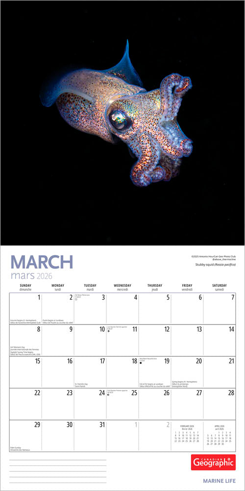 Canadian Geographic Marine Life OFFICIAL | 2026 12 x 24 Inch (Hanging) Monthly Square Wall Calendar
