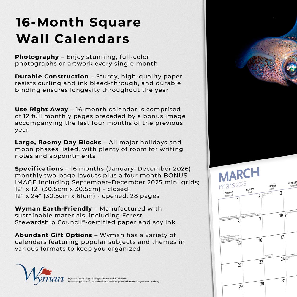 Canadian Geographic Marine Life OFFICIAL | 2026 12 x 24 Inch (Hanging) Monthly Square Wall Calendar