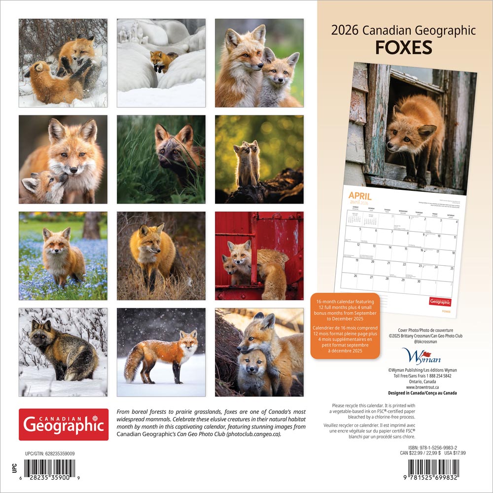 Canadian Geographic Foxes OFFICIAL | 2026 12 x 24 Inch (Hanging) Monthly Square Wall Calendar