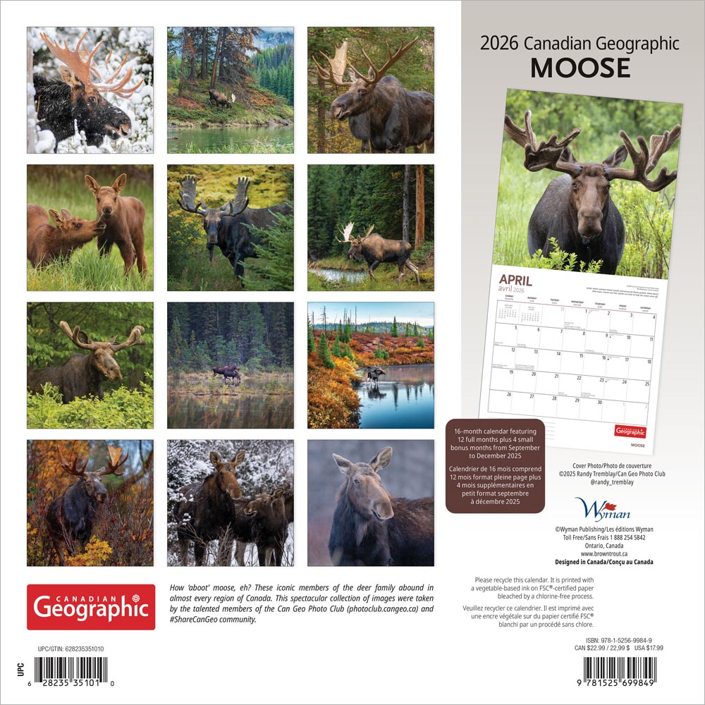 Canadian Geographic Moose OFFICIAL | 2026 12 x 24 Inch (Hanging) Monthly Square Wall Calendar