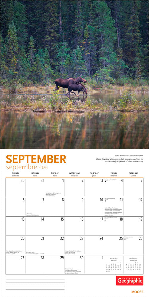 Canadian Geographic Moose OFFICIAL | 2026 12 x 24 Inch (Hanging) Monthly Square Wall Calendar