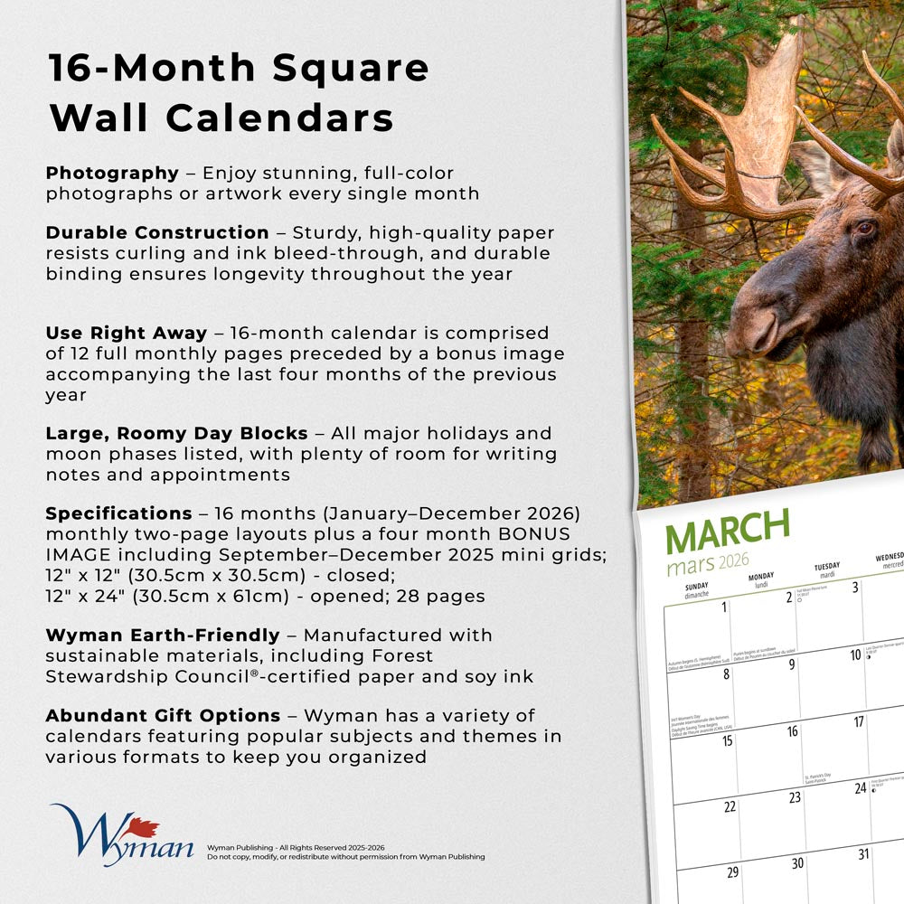 Canadian Geographic Moose OFFICIAL | 2026 12 x 24 Inch (Hanging) Monthly Square Wall Calendar