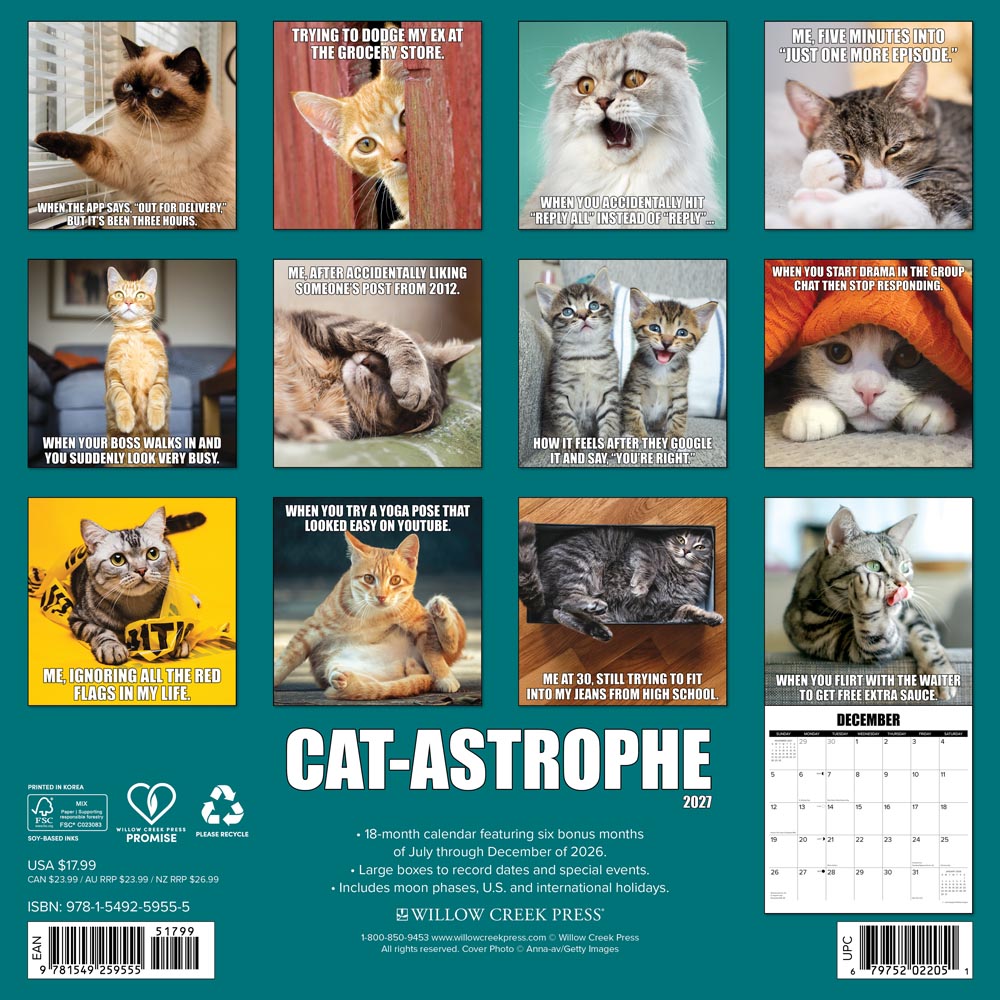 Cat-astrophe 2027 Wall Calendar