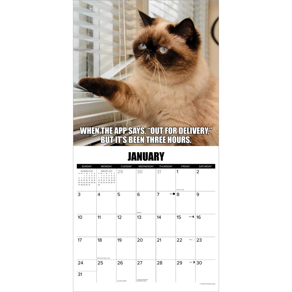 Cat-astrophe 2027 Wall Calendar