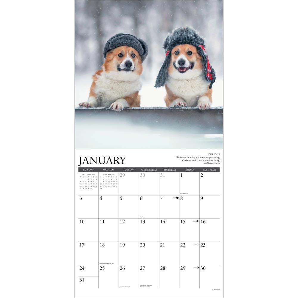 Corgi Rules 2027 Wall Calendar