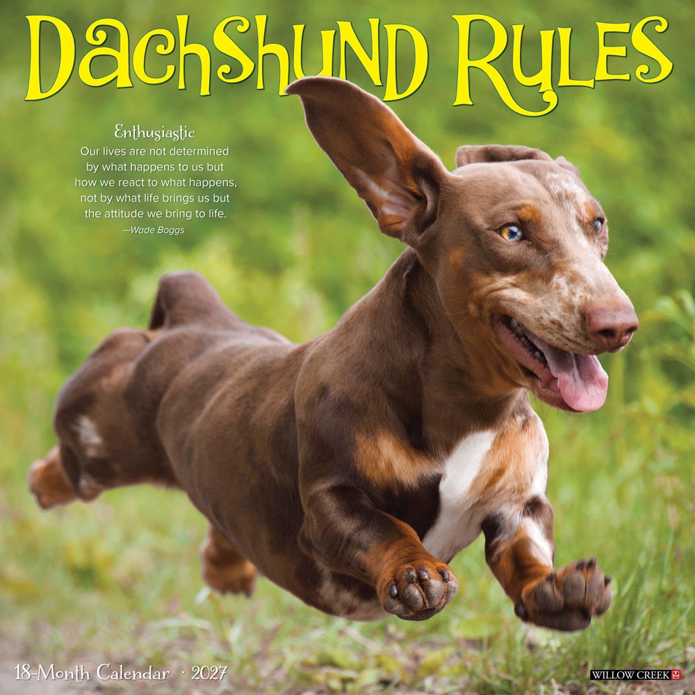 Dachshund Rules 2027 Wall Calendar