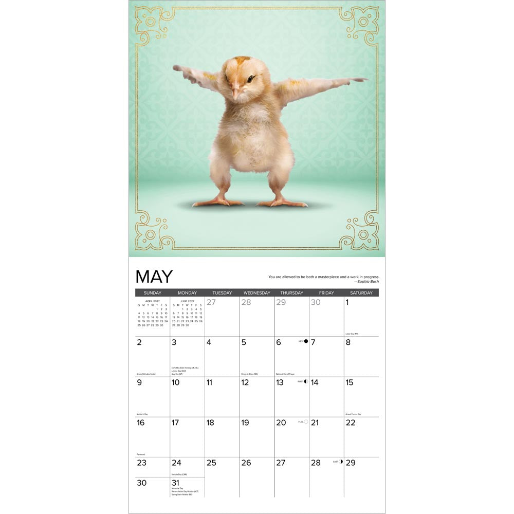 Farm Yoga 2027 Wall Calendar