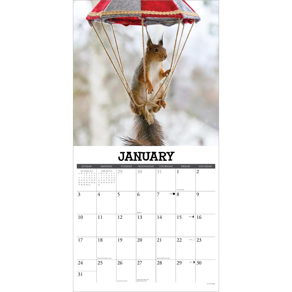 Gettin' Squirrelly 2027 Wall Calendar