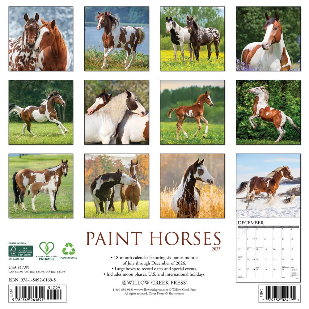 Paint Horses 2027 Wall Calendar