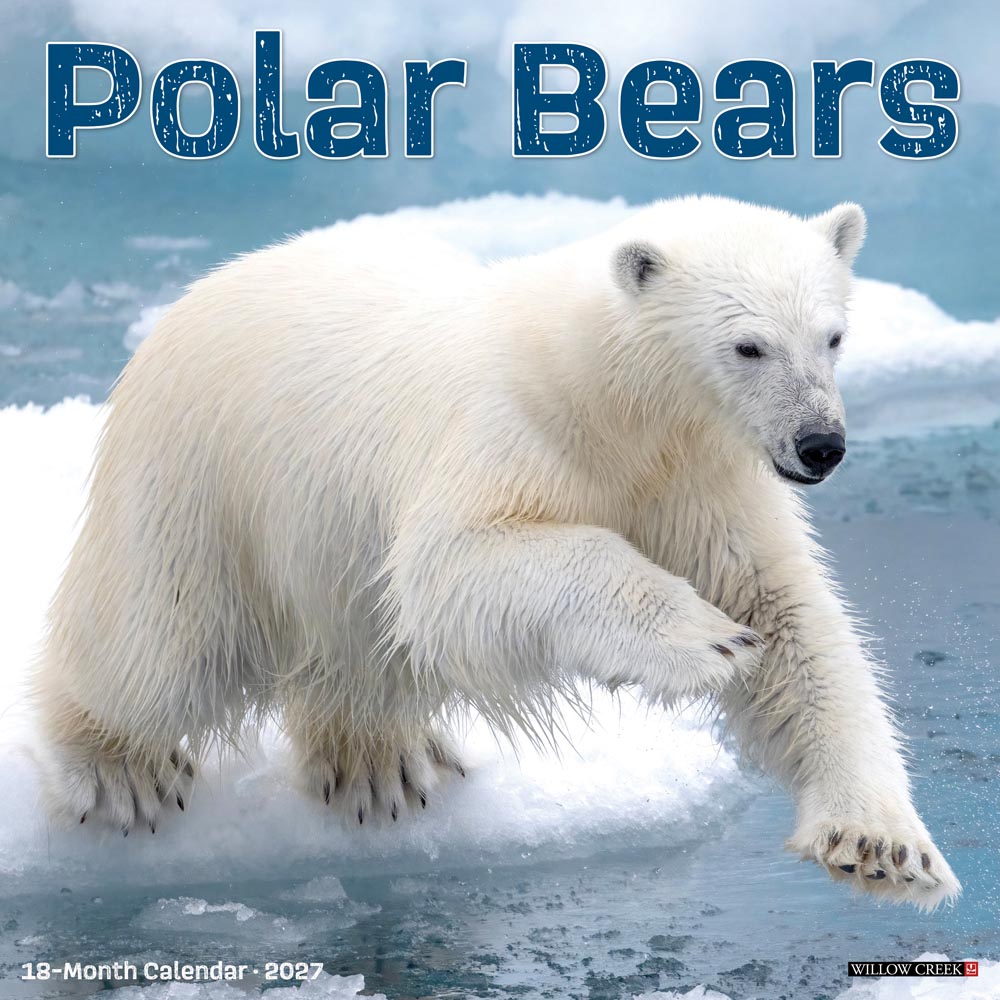 Polar Bears  2027 Wall Calendar