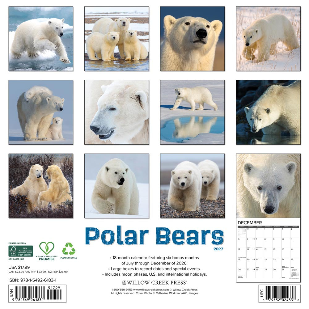Polar Bears  2027 Wall Calendar