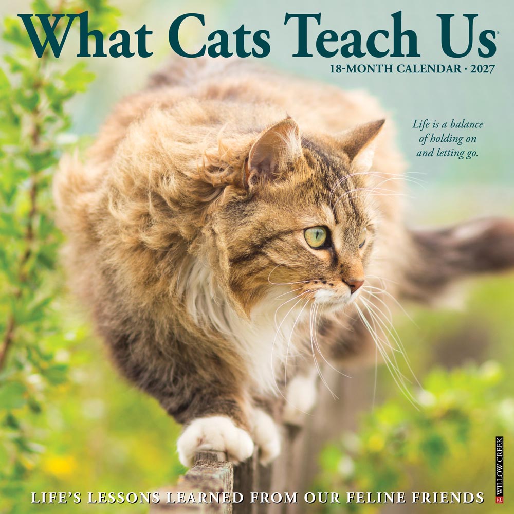 What Cats Teach Us 2027 Wall Calendar