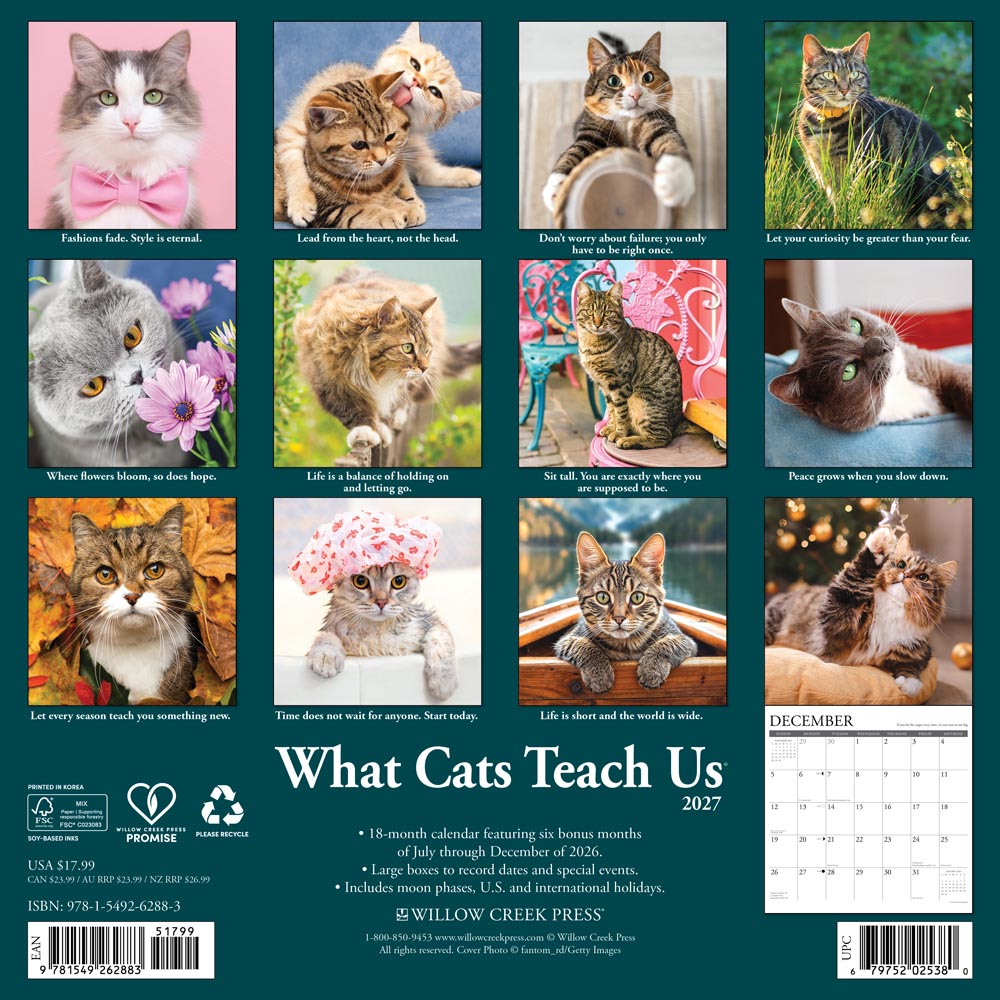 What Cats Teach Us 2027 Wall Calendar