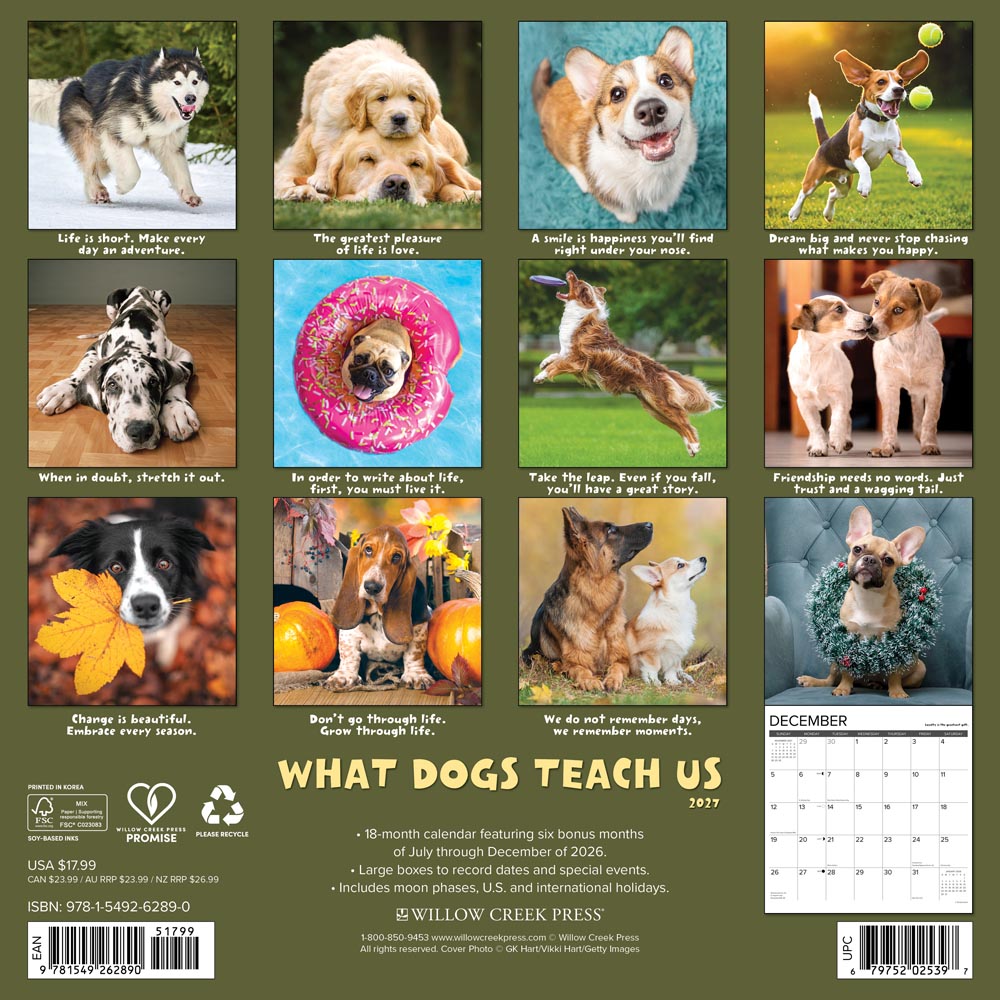 What Dogs Teach Us 2027 Wall Calendar