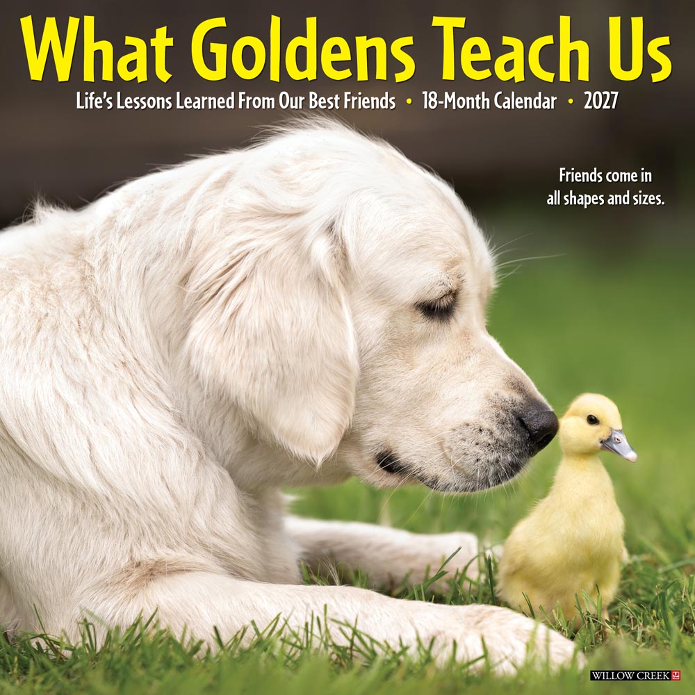 What Goldens Teach Us 2027 Wall Calendar