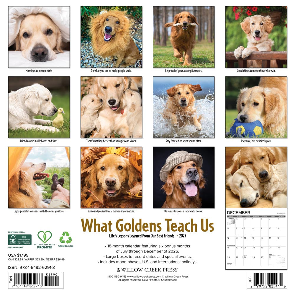 What Goldens Teach Us 2027 Wall Calendar