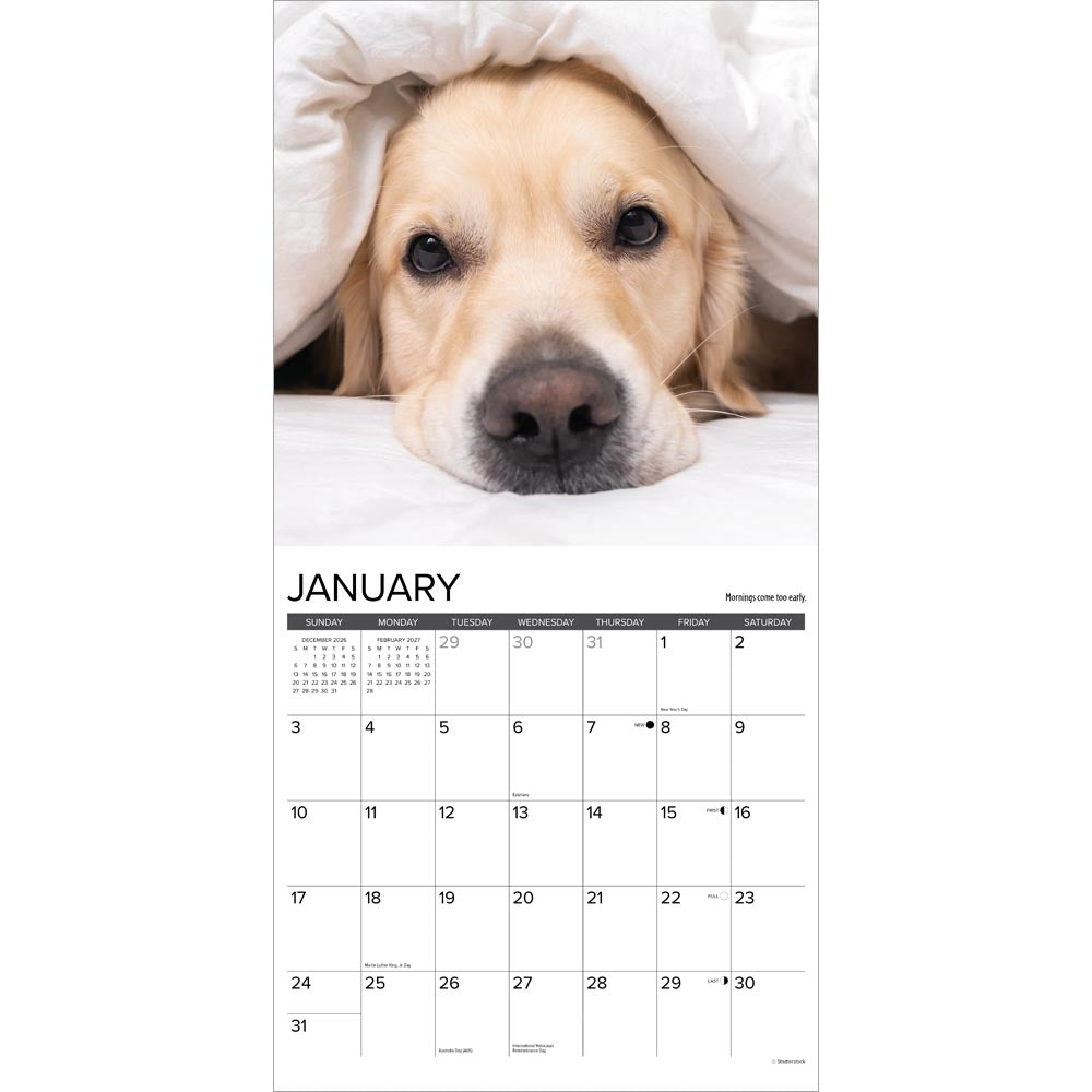 What Goldens Teach Us 2027 Wall Calendar