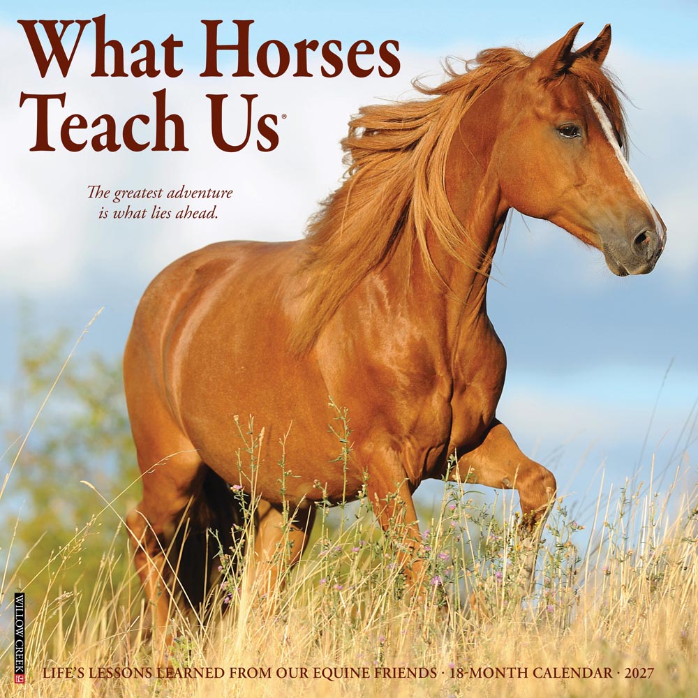 What Horses Teach Us 2027 Wall Calendar