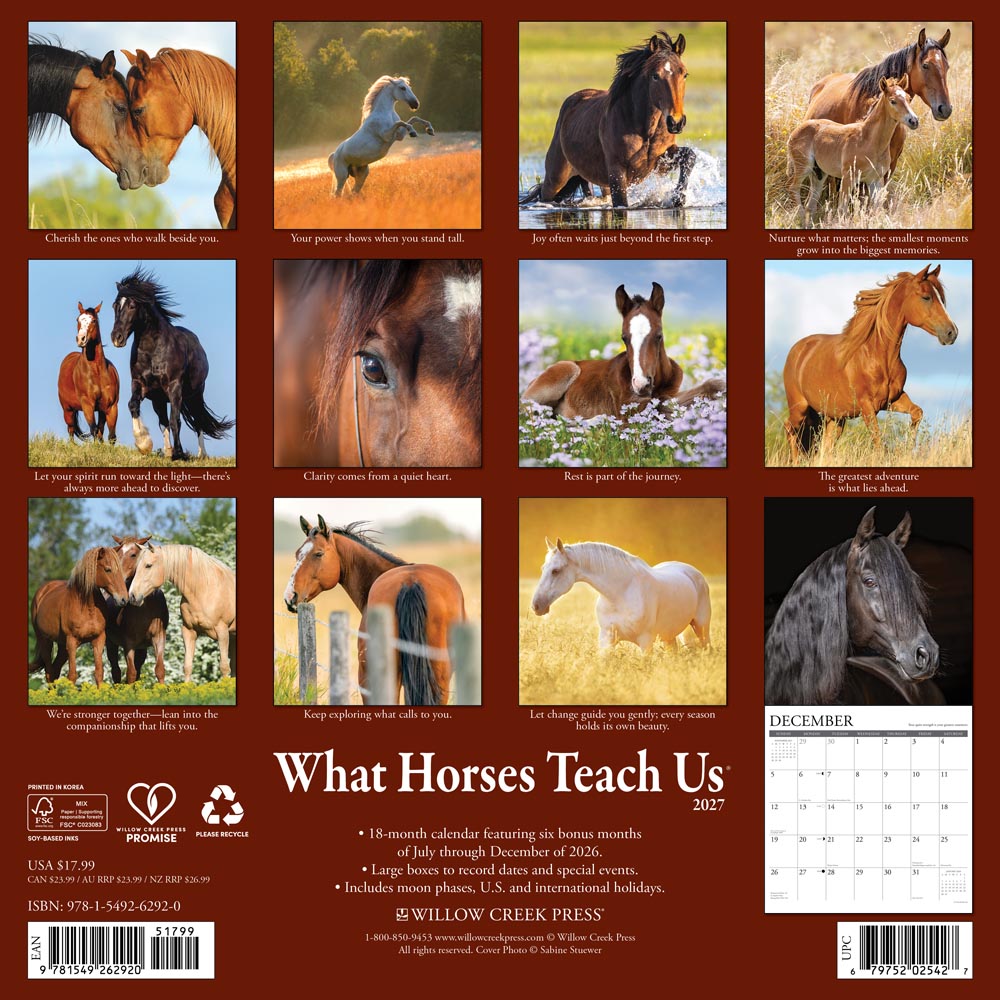 What Horses Teach Us 2027 Wall Calendar