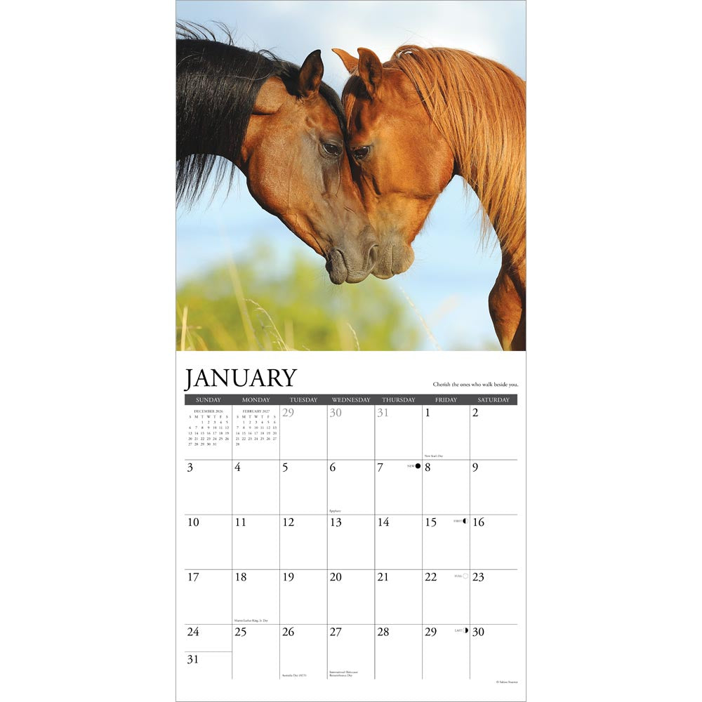What Horses Teach Us 2027 Wall Calendar