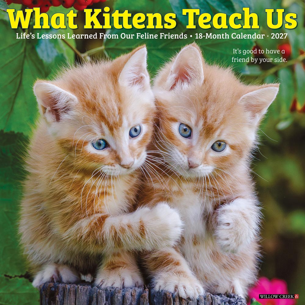 What Kittens Teach Us 2027 Wall Calendar