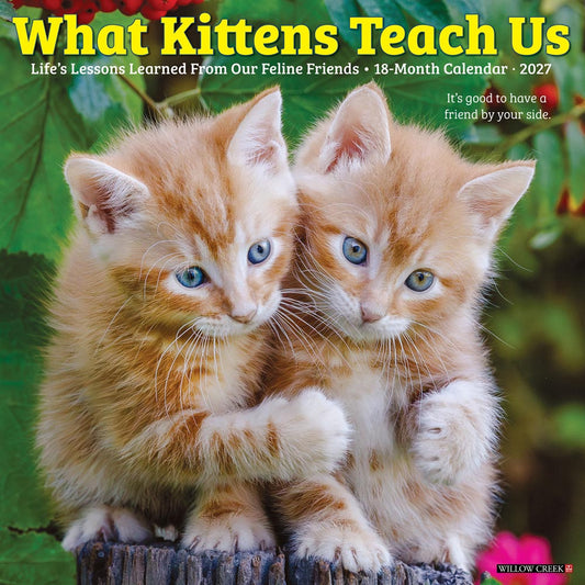 What Kittens Teach Us 2027 Wall Calendar