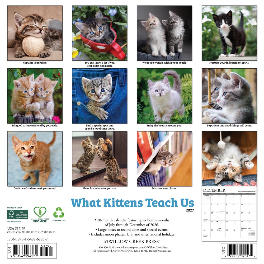 What Kittens Teach Us 2027 Wall Calendar