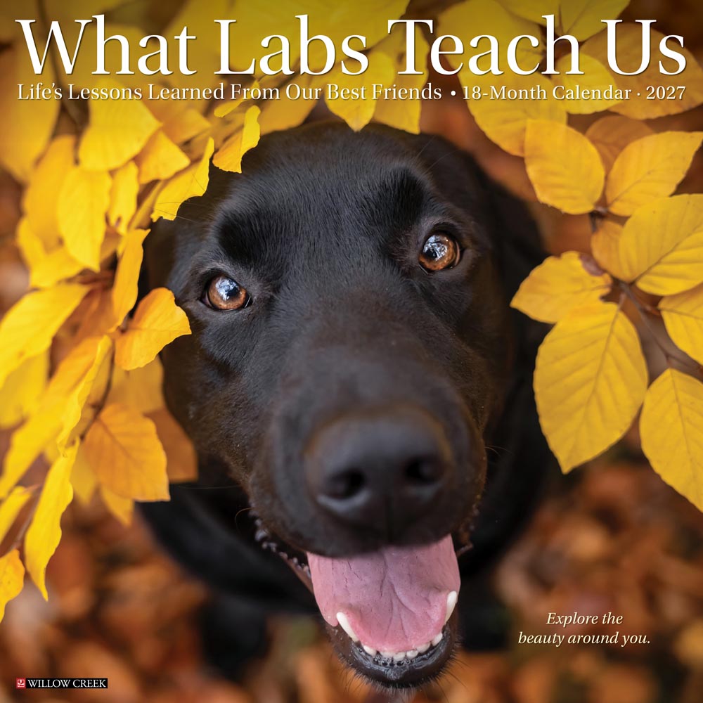What Labs Teach Us 2027 Wall Calendar