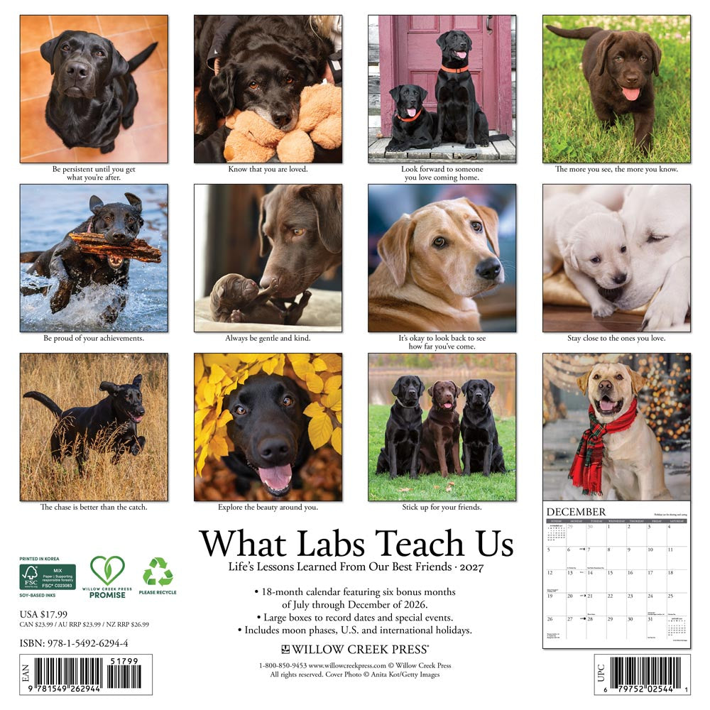 What Labs Teach Us 2027 Wall Calendar