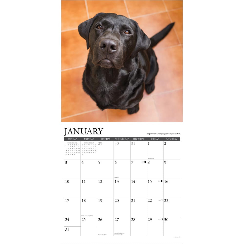 What Labs Teach Us 2027 Wall Calendar
