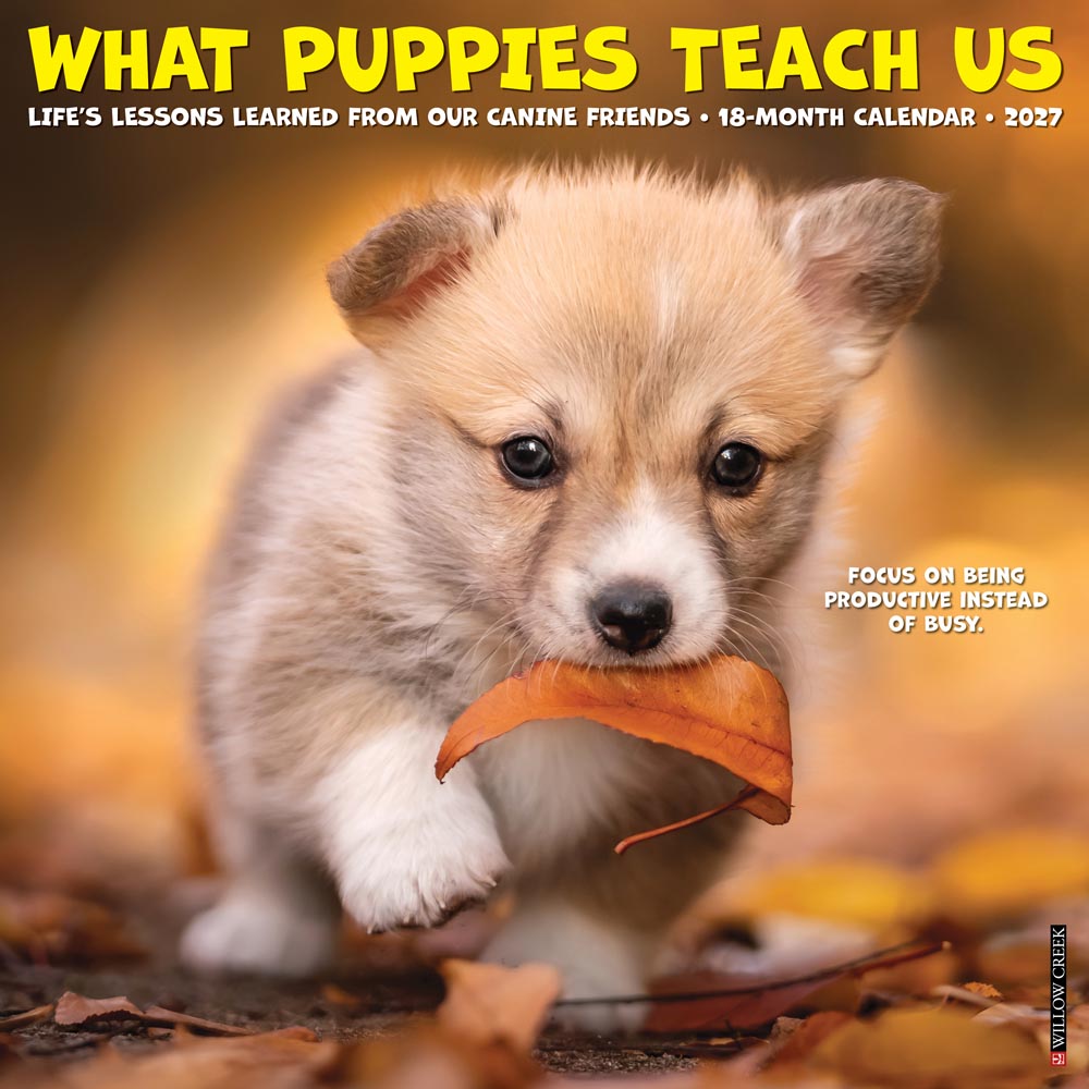 What Puppies Teach Us 2027 Wall Calendar