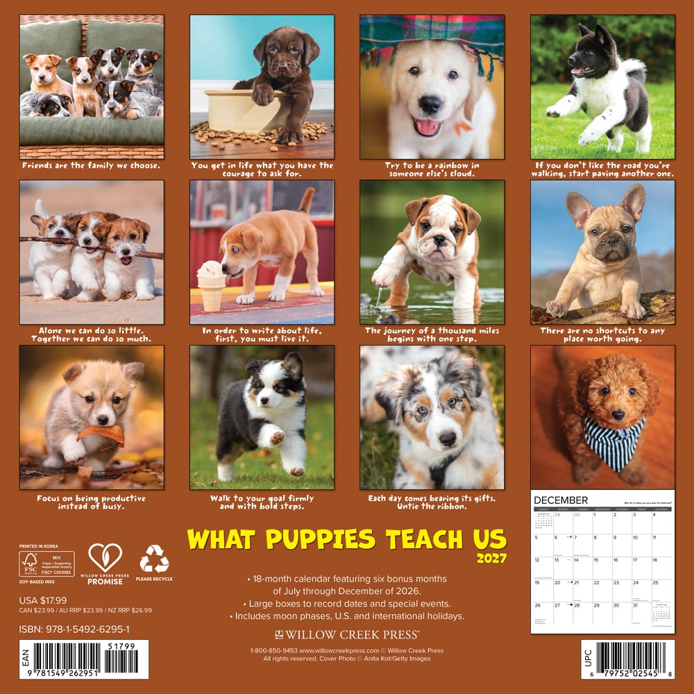 What Puppies Teach Us 2027 Wall Calendar
