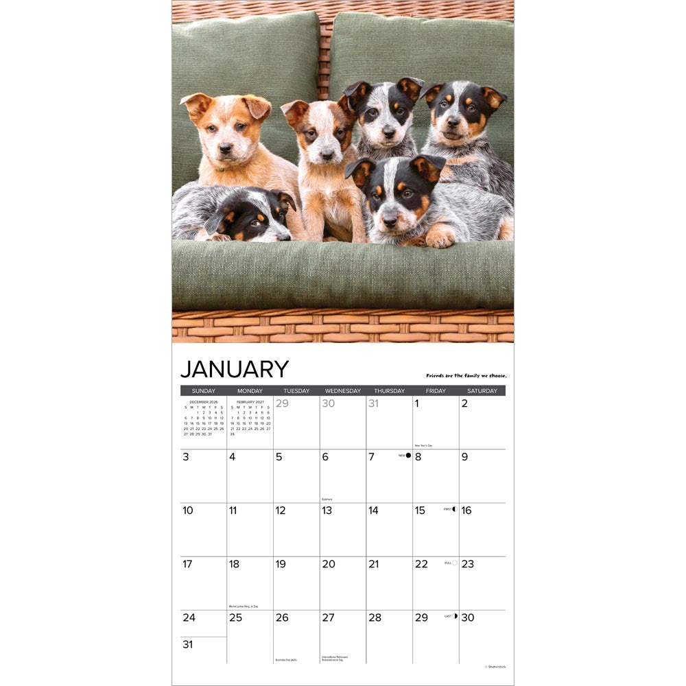 What Puppies Teach Us 2027 Wall Calendar