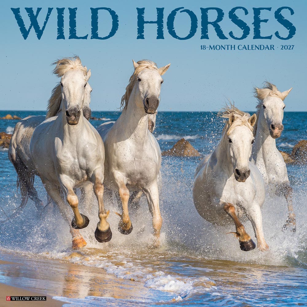 Wild Horses 2027 Wall Calendar