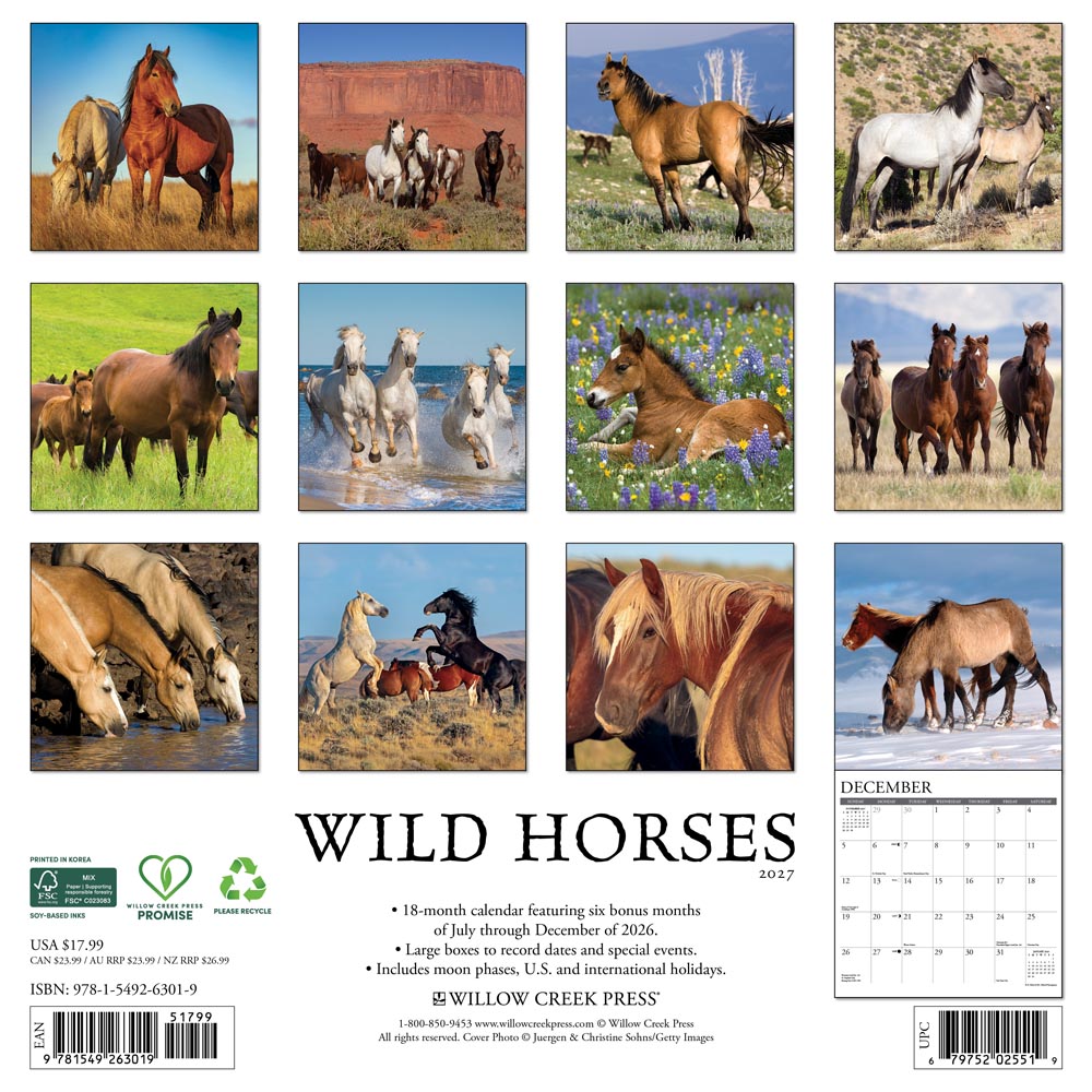 Wild Horses 2027 Wall Calendar