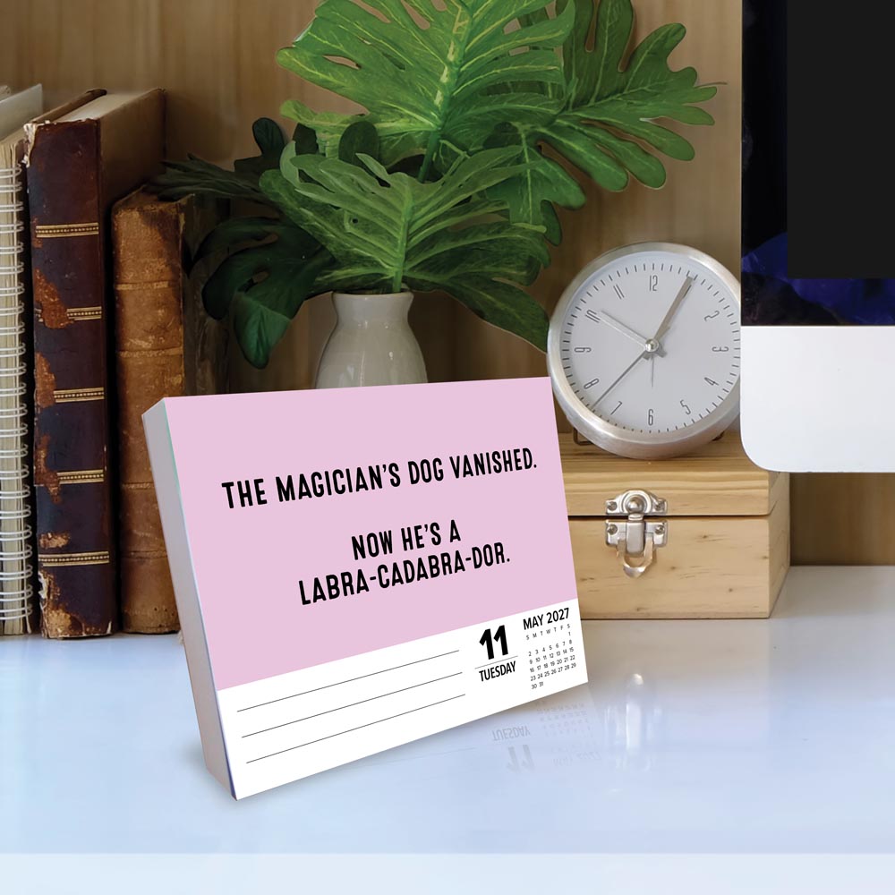 Pun Intended 2027 Box Calendar
