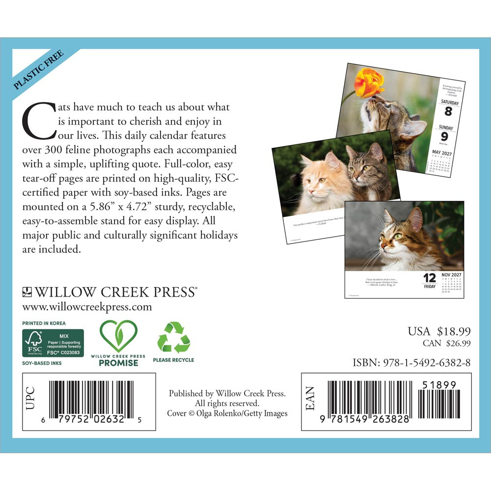 What Cats Teach Us 2027 Box Calendar