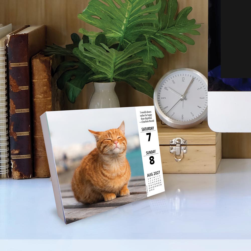 What Cats Teach Us 2027 Box Calendar