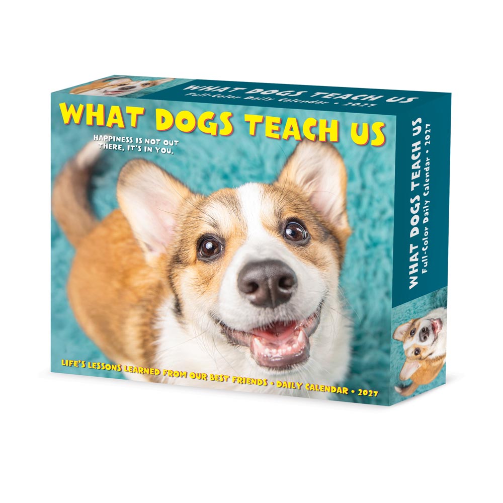 What Dogs Teach Us 2027 Box Calendar