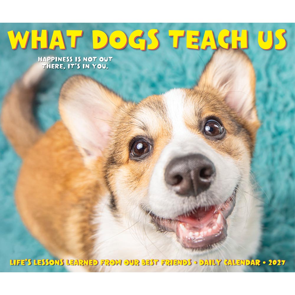 What Dogs Teach Us 2027 Box Calendar