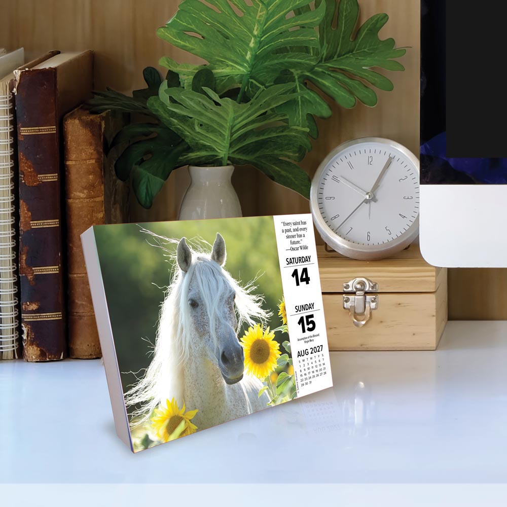 What Horses Teach Us 2027 Box Calendar
