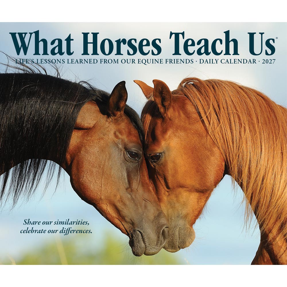 What Horses Teach Us 2027 Box Calendar